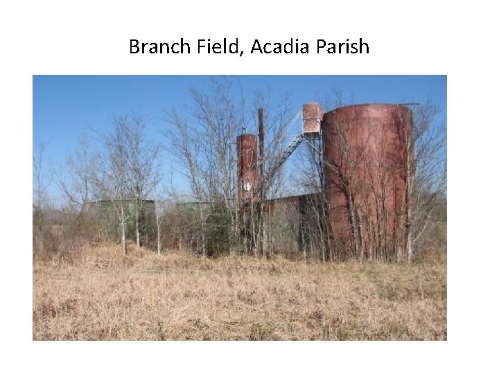 Branch Field, Acadia Parish 