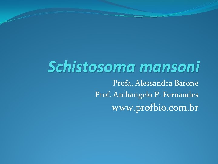 Schistosoma mansoni Profa. Alessandra Barone Prof. Archangelo P. Fernandes www. profbio. com. br 