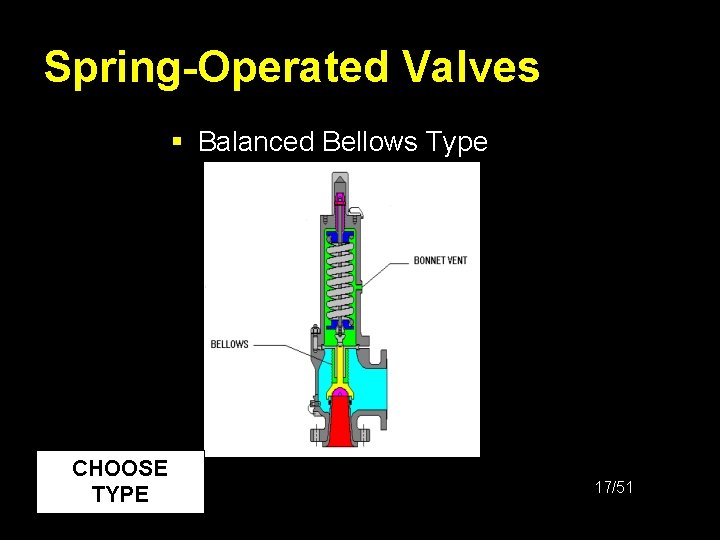 Spring-Operated Valves § Balanced Bellows Type CHOOSE TYPE 17/51 