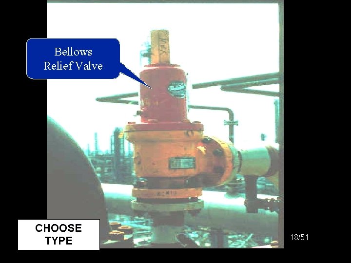 Picture: Bellows Relief Valve CHOOSE TYPE 18/51 