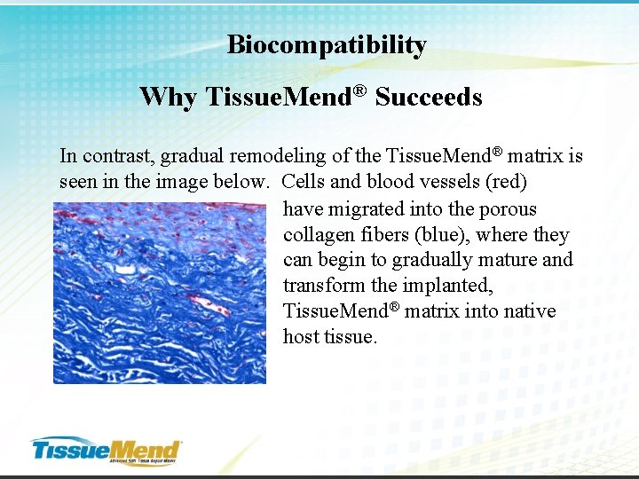 Biocompatibility Why Tissue. Mend® Succeeds In contrast, gradual remodeling of the Tissue. Mend® matrix