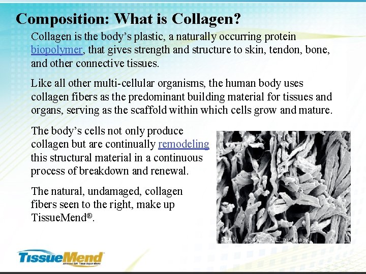 Composition: What is Collagen? Collagen is the body’s plastic, a naturally occurring protein biopolymer,