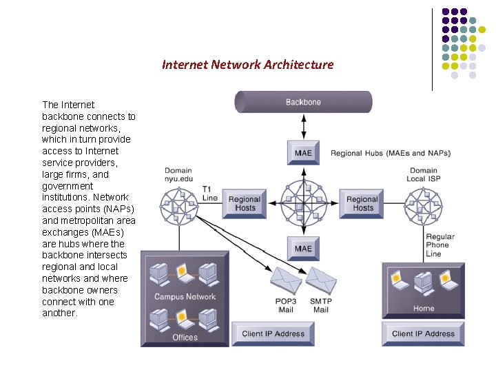 Internet Network Architecture The Internet backbone connects to regional networks, which in turn provide