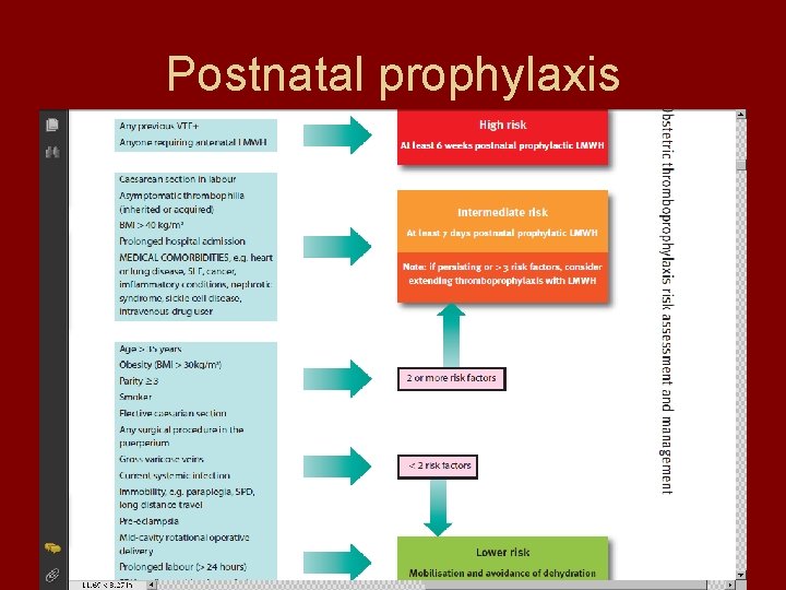 Postnatal prophylaxis 