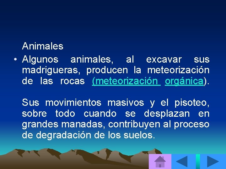 Animales • Algunos animales, al excavar sus madrigueras, producen la meteorización de las rocas