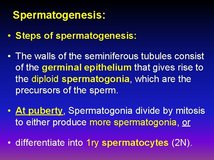 Spermatogenesis: • Steps of spermatogenesis: • The walls of the seminiferous tubules consist of