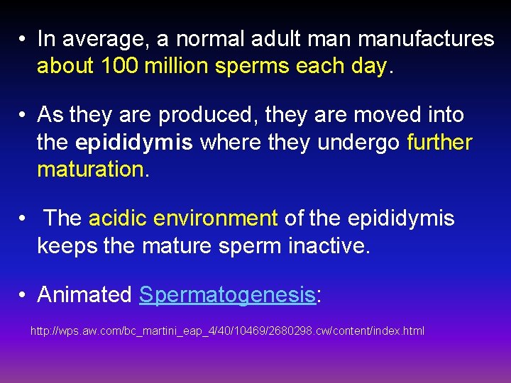  • In average, a normal adult manufactures about 100 million sperms each day.