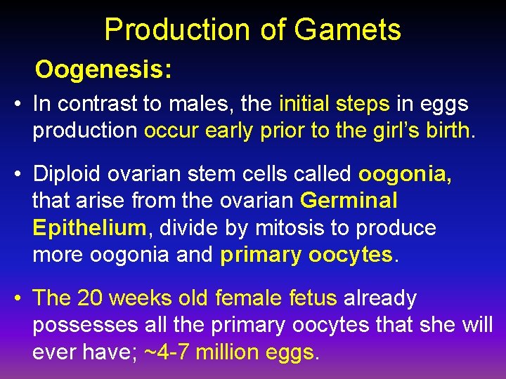 Production of Gamets Oogenesis: • In contrast to males, the initial steps in eggs