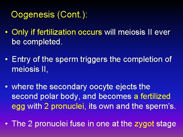 Oogenesis (Cont. ): • Only if fertilization occurs will meiosis II ever be completed.