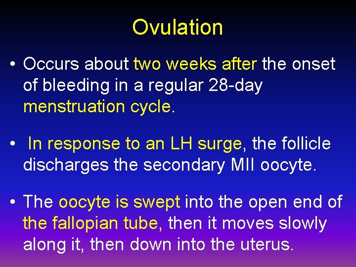 Ovulation • Occurs about two weeks after the onset of bleeding in a regular