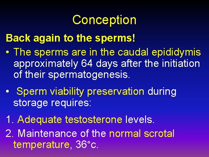 Conception Back again to the sperms! • The sperms are in the caudal epididymis