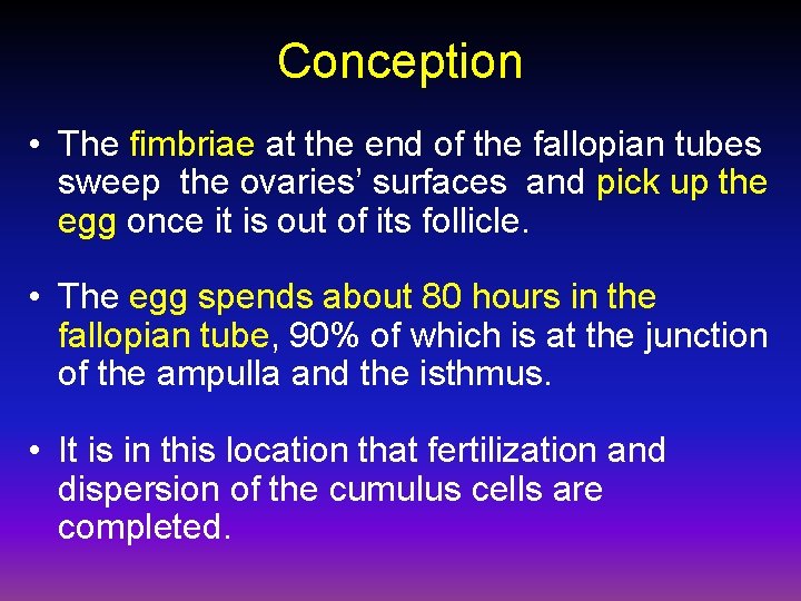 Conception • The fimbriae at the end of the fallopian tubes sweep the ovaries’