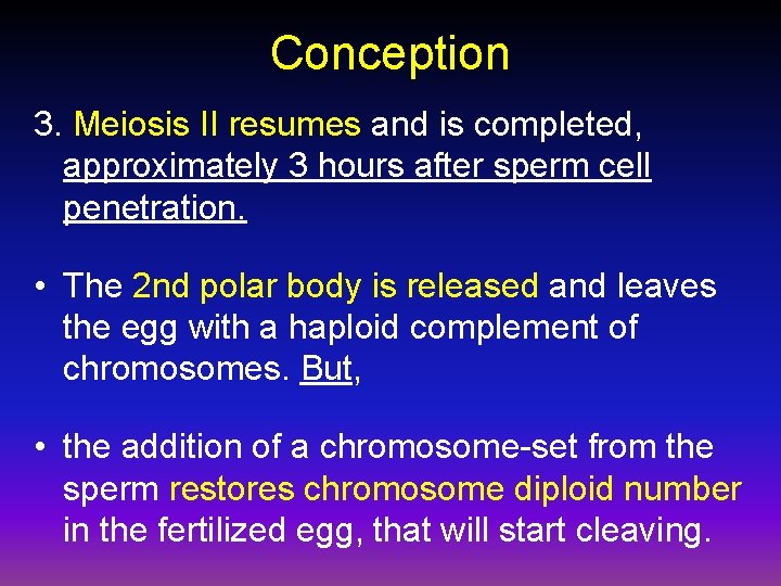 Conception 3. Meiosis II resumes and is completed, approximately 3 hours after sperm cell