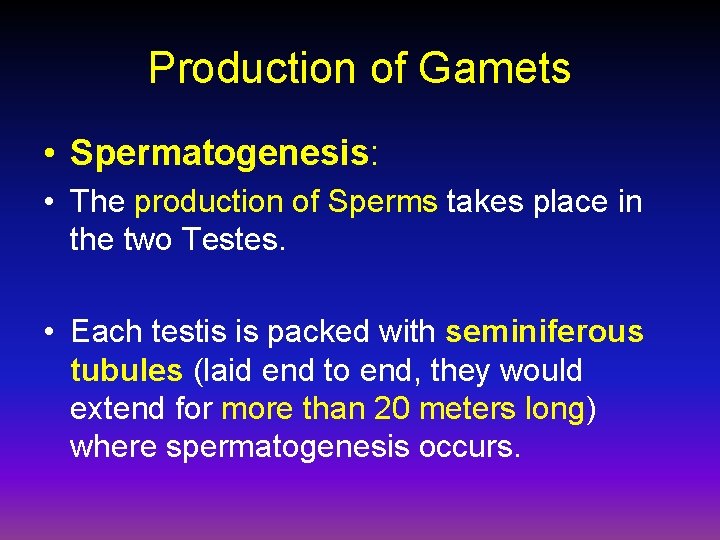 Production of Gamets • Spermatogenesis: • The production of Sperms takes place in the