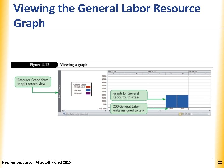 Viewing the General Labor Resource XP Graph New Perspectives on Microsoft Project 2010 22