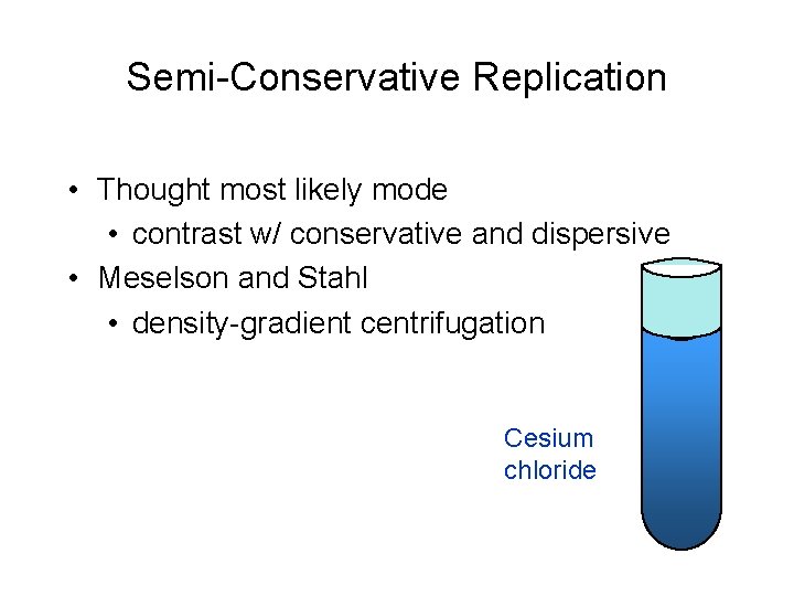 Semi-Conservative Replication • Thought most likely mode • contrast w/ conservative and dispersive •