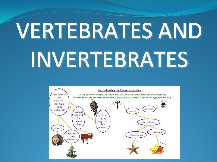 VERTEBRATES AND INVERTEBRATES 