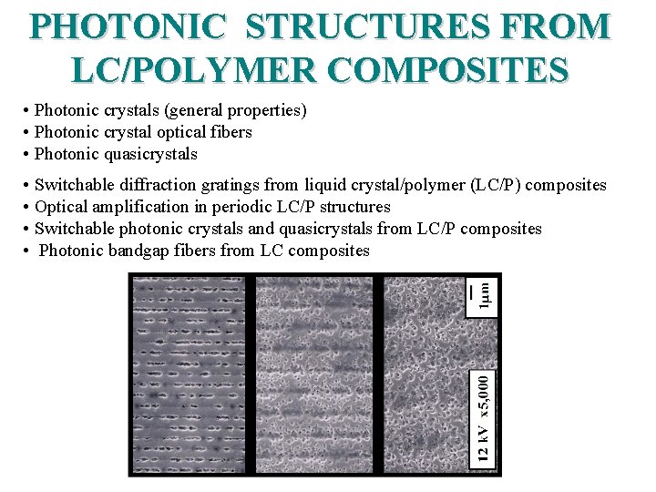 PHOTONIC STRUCTURES FROM LC/POLYMER COMPOSITES • Photonic crystals (general properties) • Photonic crystal optical