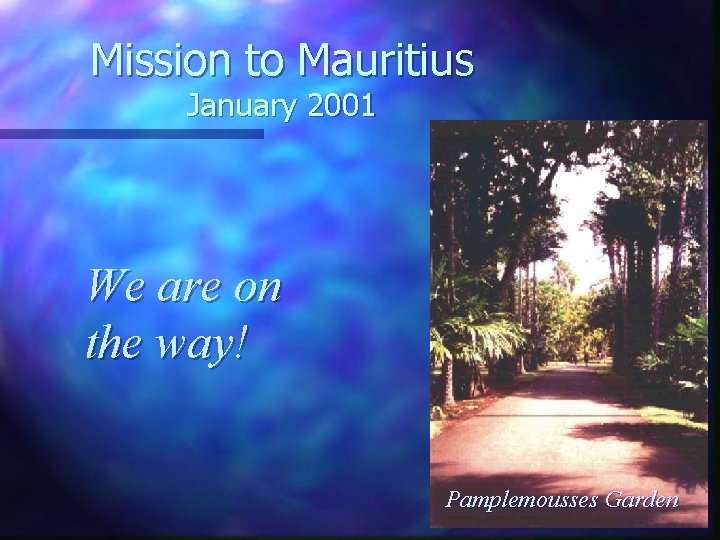 Mission to Mauritius January 2001 We are on the way! Pamplemousses Garden 
