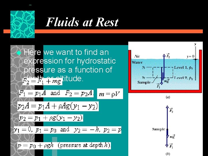 Fluids at Rest u Here we want to find an expression for hydrostatic pressure