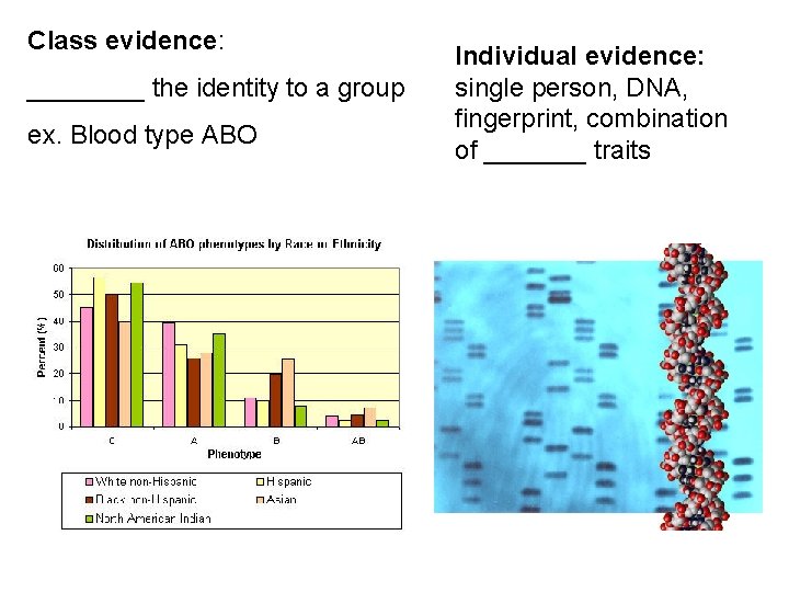 Class evidence: ____ the identity to a group ex. Blood type ABO Individual evidence: