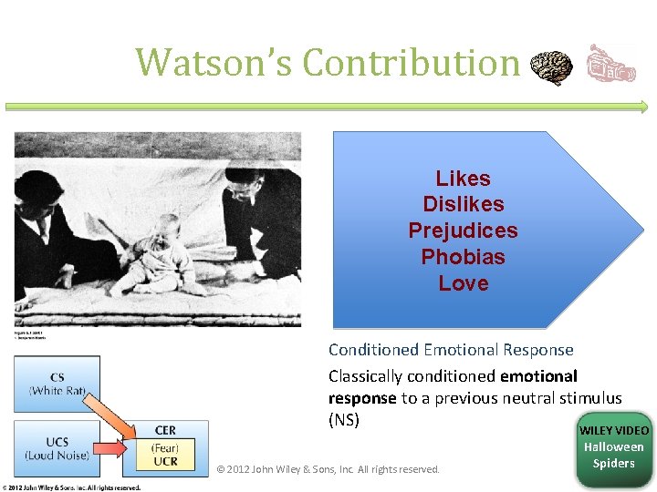 Watson’s Contribution Likes Dislikes Prejudices Phobias Love Conditioned Emotional Response Classically conditioned emotional response