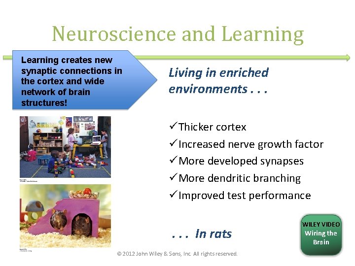 Neuroscience and Learning creates new synaptic connections in the cortex and wide network of