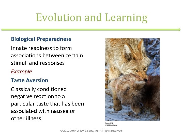 Evolution and Learning Biological Preparedness Innate readiness to form associations between certain stimuli and