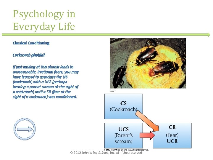 Psychology in Everyday Life Classical Conditioning Cockroach phobia? If just looking at this phobia