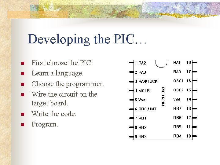 Developing the PIC… n n n First choose the PIC. Learn a language. Choose