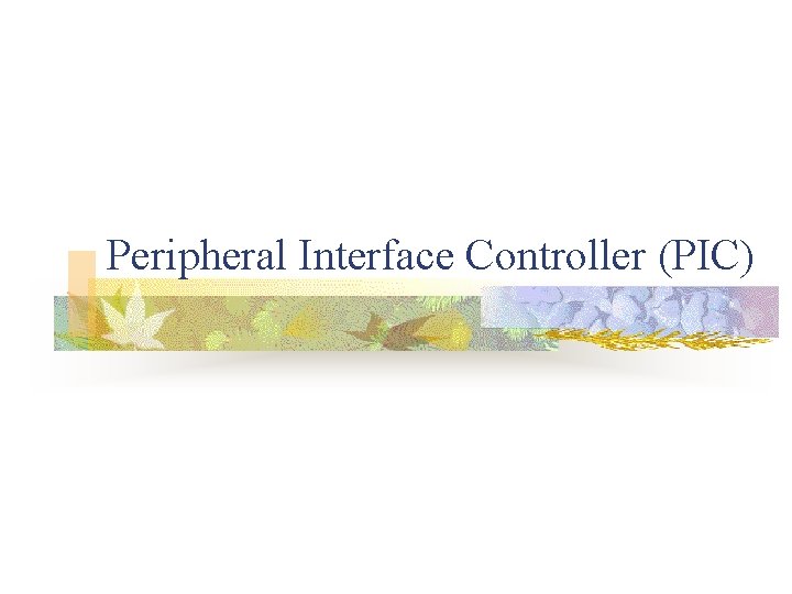 Peripheral Interface Controller (PIC) 