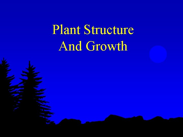 Plant Structure And Growth 