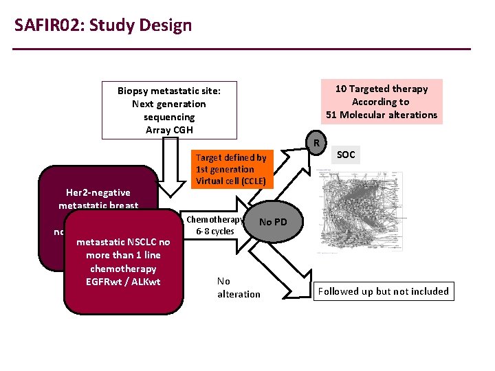 SAFIR 02: Study Design 10 Targeted therapy According to 51 Molecular alterations Biopsy metastatic