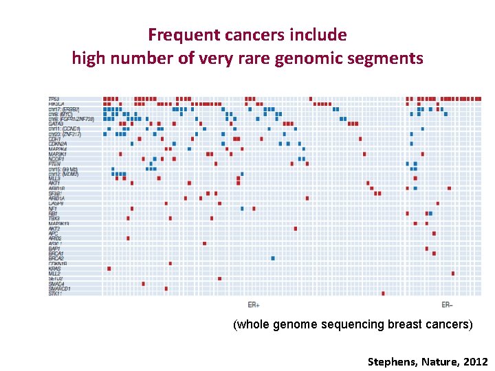 Frequent cancers include high number of very rare genomic segments (whole genome sequencing breast