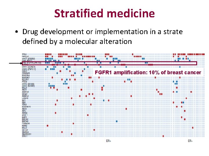 Stratified medicine • Drug development or implementation in a strate defined by a molecular