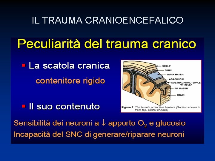 IL TRAUMA CRANIOENCEFALICO 