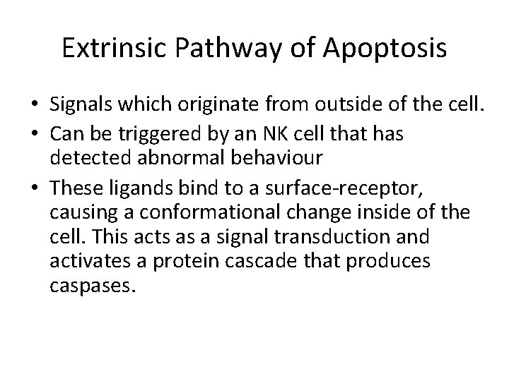 Extrinsic Pathway of Apoptosis • Signals which originate from outside of the cell. • Extrinsic Pathway of Apoptosis • Signals which originate from outside of the cell. •