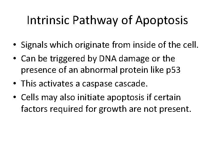 Intrinsic Pathway of Apoptosis • Signals which originate from inside of the cell. • Intrinsic Pathway of Apoptosis • Signals which originate from inside of the cell. •