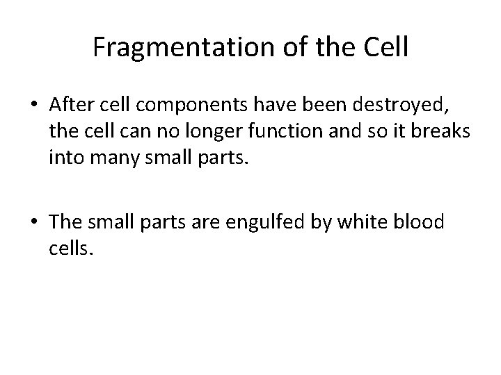 Fragmentation of the Cell • After cell components have been destroyed, the cell can Fragmentation of the Cell • After cell components have been destroyed, the cell can