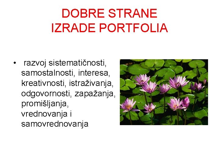 DOBRE STRANE IZRADE PORTFOLIA • razvoj sistematičnosti, samostalnosti, interesa, kreativnosti, istraživanja, odgovornosti, zapažanja, promišljanja,