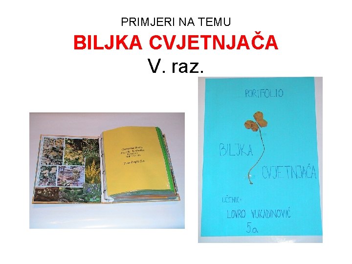 PRIMJERI NA TEMU BILJKA CVJETNJAČA V. raz. 