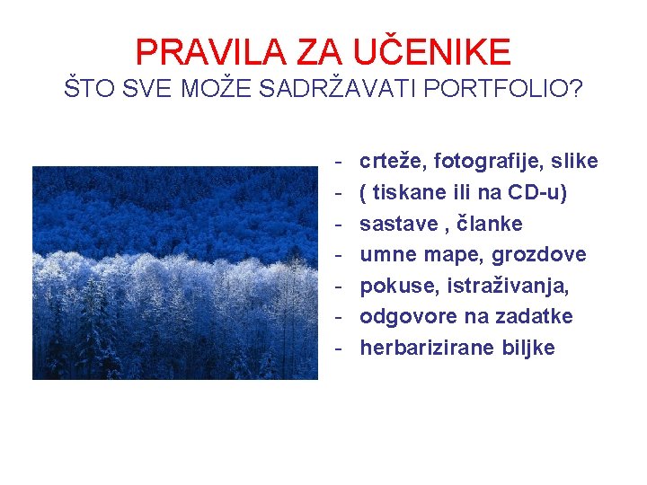 PRAVILA ZA UČENIKE ŠTO SVE MOŽE SADRŽAVATI PORTFOLIO? - crteže, fotografije, slike ( tiskane