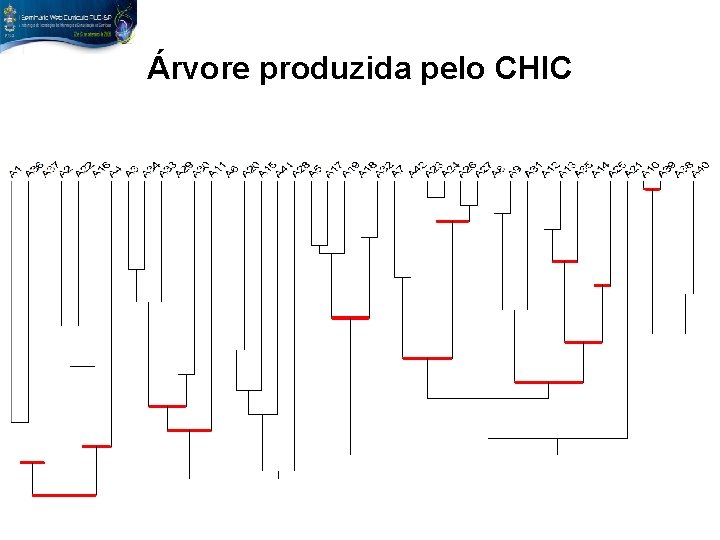 Árvore produzida pelo CHIC 