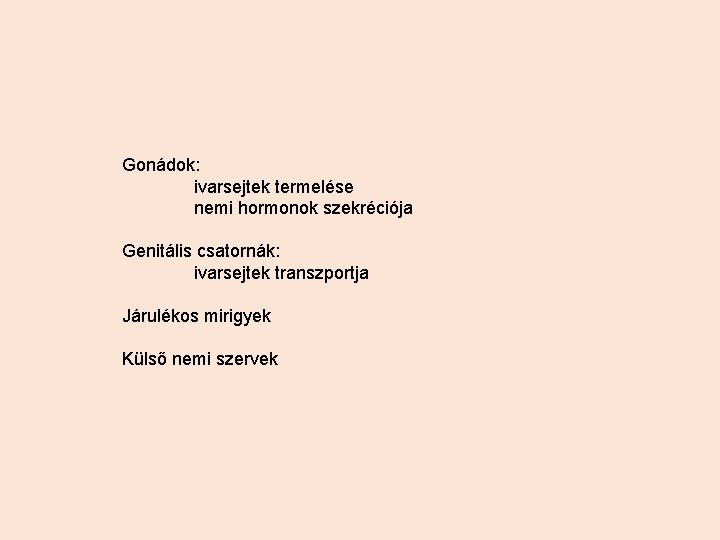 Gonádok: ivarsejtek termelése nemi hormonok szekréciója Genitális csatornák: ivarsejtek transzportja Járulékos mirigyek Külső nemi