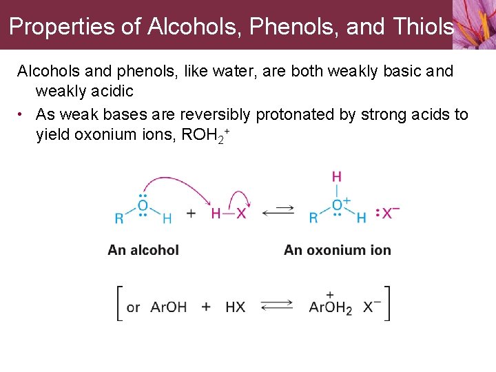 Properties of Alcohols, Phenols, and Thiols Alcohols and phenols, like water, are both weakly