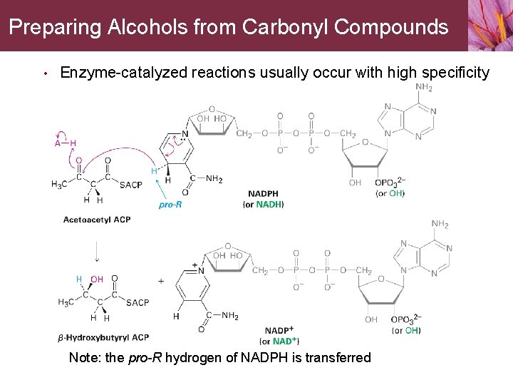 Preparing Alcohols from Carbonyl Compounds • Enzyme-catalyzed reactions usually occur with high specificity Note: