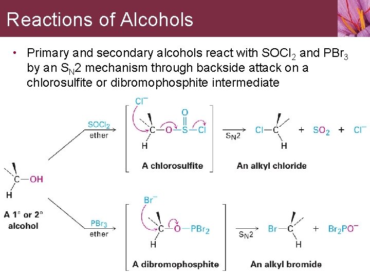 Reactions of Alcohols • Primary and secondary alcohols react with SOCl 2 and PBr