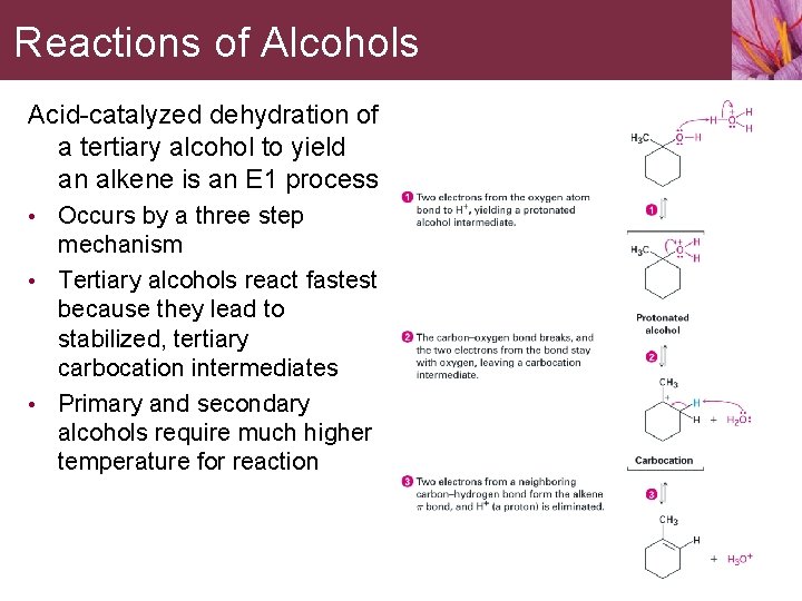 Reactions of Alcohols Acid-catalyzed dehydration of a tertiary alcohol to yield an alkene is