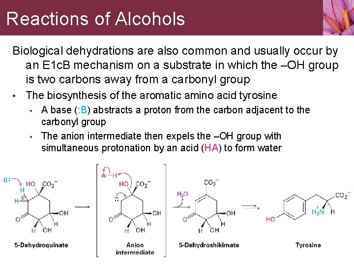Reactions of Alcohols Biological dehydrations are also common and usually occur by an E