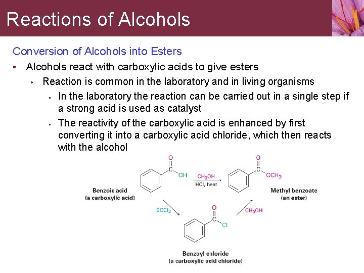 Reactions of Alcohols Conversion of Alcohols into Esters • Alcohols react with carboxylic acids